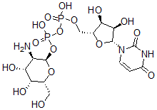 CAS 登录号：17479-06-0， 尿苷二磷酸酯半乳糖胺