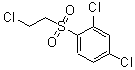 CAS 登录号：175203-30-2， 2,4-二氯-1-[(2-氯乙基)磺酰基]-苯
