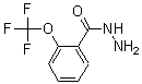 CAS 登录号：175277-19-7， 2-(三氟甲氧基)-苯甲酰肼