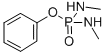 CAS 登录号：1754-58-1， 苯基 N,N'-二甲基磷二酰胺
