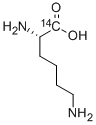 CAS 登录号：18746-72-0， L-赖氨酸-1-14C