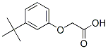 CAS#: 1878-55-3, [3-(1,1-Dimethylethyl)Phenoxy]Acetic Acid