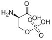 CAS 登录号：19794-48-0， D-丝氨酸硫酸氢酯