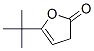 CAS#: 19918-17-3, 5-Tert-Butyl-3H-Furan-2-One