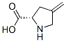 CAS 登录号：20309-87-9， 4-亚甲基脯氨酸