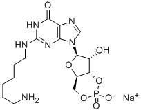 CAS 登录号：205368-58-7， N-(6-氨基己基)-鸟苷环-3',5'-(氢磷酸酯)