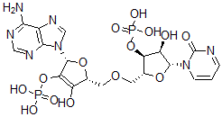 CAS 登录号：20787-33-1， 环(腺苷酰(3'-5')尿苷单磷酸酯)