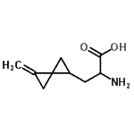 CAS 登录号：213198-59-5， 3-(4-亚甲基螺[2.2]戊-1-基)丙氨酸