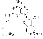 CAS 登录号：214276-80-9， 2-[(6-氨基己基)氨基]-腺苷环-3',5'-(氢磷酸酯)