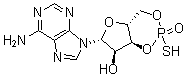 CAS 登录号：23645-17-2， 腺苷-3',5'-环硫代磷酸酯
