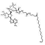 CAS 登录号：24870-39-1， 5'-O-[羟基[[羟基[[(3R)-3-羟基-2,2-二甲基-4-氧代-4-[[3-氧代-3-[[2-[(1-氧代十五烷基)硫代]乙基]氨基]丙基]氨基]丁基]氧基]亚膦酰]氧基]亚膦酰]-腺苷3'-(磷酸二氢酯)I酮(2-)