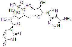 CAS 登录号：2676-45-1， 腺苷酰-(3'-5')-尿苷 5'-磷酸酯