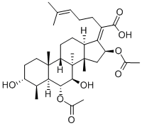 CAS 登录号：28393-42-2， 头孢菌素 P1