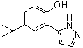 CAS#: 288844-49-5, 4-(2-Methyl-2-Propanyl)-2-(1H-Pyrazol-5-Yl)Phenol