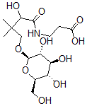 CAS 登录号：29588-37-2， D-泛酸 4'-O-beta-葡糖苷