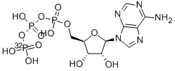 CAS 登录号：2964-07-0， 腺苷 5'-三磷酸酯-gamma-32P