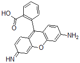 CAS 登录号：30378-58-6， 2-(3-氨基-6-亚氨基氧杂蒽-9-基)苯甲酸