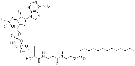CAS 登录号：3130-72-1， 辅酶 A-S-十四烷酸酯