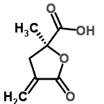 CAS 登录号：314264-83-0， (2S)-2-甲基-4-亚甲基-5-氧代四氢-2-呋喃羧酸
