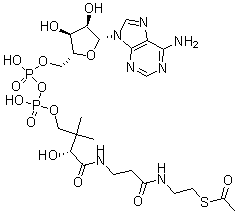 CAS 登录号：31664-34-3， 乙酰基-去磷酰-辅酶 A
