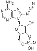 CAS 登录号：31966-52-6， 8-叠氮基腺苷-3',5'-环单磷酸酯