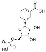 CAS 登录号：321-02-8， 烟酸单核苷酸