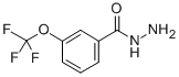 CAS#: 321195-88-4, 3-(Trifluoromethoxy)Benzhydrazide