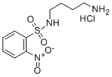 CAS 登录号:349553-74-8, N-(2-硝基苯磺酰基)-1,4-二氨基丁烷盐酸盐