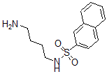 CAS 登录号：35517-12-5， N-(4-氨基丁基)萘-2-磺酰胺