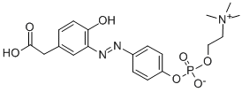 CAS 登录号：359435-74-8， 4-羟基-3-(4-重氮基苯基磷酰胆碱)苯基乙酸