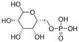 CAS 登录号：3672-15-9， [(2R,3R,4S,5S)-3,4,5,6-四羟基四氢吡喃-2-基]甲氧基膦酸