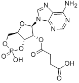 CAS 登录号：36940-87-1， 2'-O-单丁二酰腺苷 3',5'-环单磷酸酯