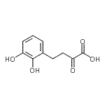 CAS 登录号：372510-78-6， 4-(2,3-二羟基苯基)-2-氧代丁酸