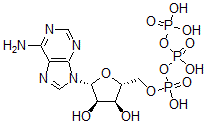 CAS 登录号：37625-56-2， 腺苷三磷酸酯