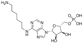 CAS#: 38198-98-0, [(2R,3S,4R,5R)-5-[6-(6-Aminohexylamino)Purin-9-Yl]-3,4-Dihydroxyoxolan-2-Yl]Methyl Dihydrogen Phosphate