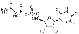 CAS#: 3828-96-4, [(2R,3S,4R)-5-(5-Fluoro-2,4-Dioxopyrimidin-1-Yl)-3,4-Dihydroxyoxolan-2-Yl]Methyl (Hydroxy-Phosphonooxyphosphoryl) Hydrogen Phosphate
