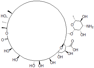 CAS 登录号：40904-73-2， 十四氢-两性霉素 B