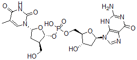 CAS 登录号：4251-20-1， 胸苷酰-(3',5')-2'-脱氧鸟苷