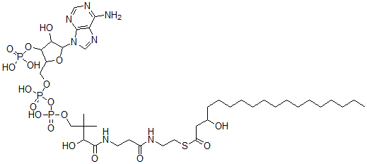 CAS 登录号：42578-91-6， 3-羟基十八碳酰基-辅酶 A