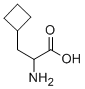 CAS 登录号：4426-06-6， DL-环丁基丙氨酸