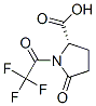 CAS#: 46383-55-5, 5-Oxo-1-(Trifluoroacetyl)Proline
