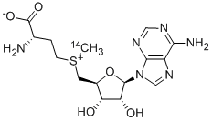 CAS#: 4989-98-4, 5'-[[(3S)-3-Amino-3-Carboxypropyl]Methyl-14C-Sulfonio]-5'-Deoxy-Adenosine Inner Salt