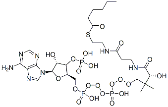 CAS 登录号：5060-32-2， [(2R,3R,4R,5R)-5-(6-氨基嘌呤-9-基)-2-[[[[3-[2-(2-己酰硫基乙基氨基甲酰)乙基氨基甲酰]-3-羟基-2,2-二甲基-丙氧基]-羟基-磷酰]氧基-羟基-磷酰]氧基甲基]-4-羟基-四氢呋喃-3-基]氧基膦酸