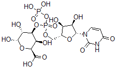 CAS 登录号：50722-58-2， 尿苷-半乳糖醛酸