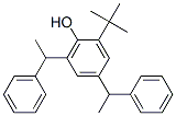 CAS 登录号：51024-05-6， 2-(1,1-二甲基乙基)-4,6-二(1-苯基乙基)苯酚