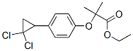 CAS 登录号：52179-28-9， 2-[4-(2,2-二氯环丙基)苯氧基]-2-甲基丙酸乙酯