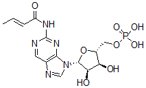 CAS 登录号：52246-50-1， 单丁酰基环鸟苷酸