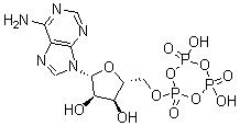 CAS 登录号：53355-60-5， 腺苷-5'-三偏磷酸酯
