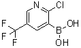 CAS 登录号：536693-96-6， 2-氯-5-(三氟甲基)吡啶-3-硼酸