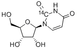 CAS 登录号：54-23-9， 尿苷-2-14C